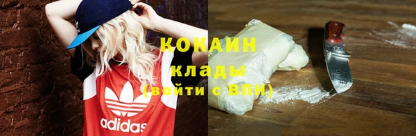 ешки Няндома
