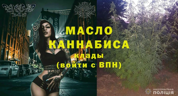 стаф Новозыбков