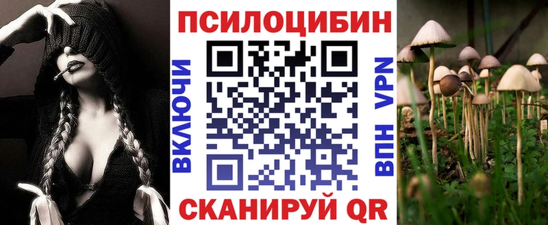 Псилоцибиновые грибы Cubensis  где продают   Тайга 