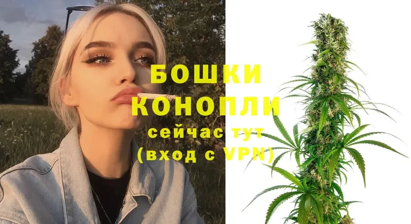 купить наркоту  Тайга  МАРИХУАНА Ganja 